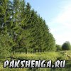 pakshenga_2011_60_ 